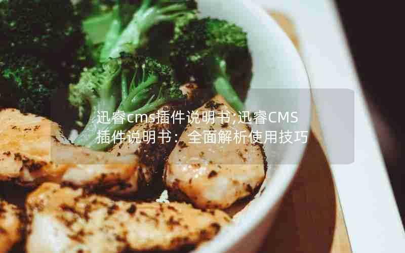 迅睿cms插件说明书;迅睿CMS插件说明书：全面解析使用技巧