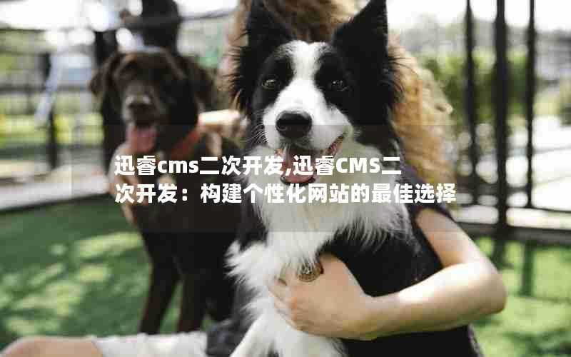 迅睿cms二次开发,迅睿CMS二次开发：构建个性化网站的最佳选择