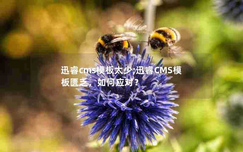 迅睿cms模板太少;迅睿CMS模板匮乏，如何应对？