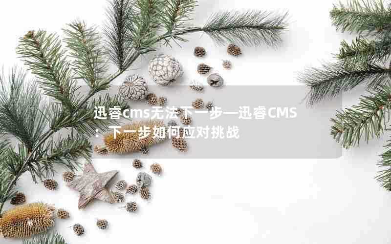 迅睿cms无法下一步—迅睿CMS：下一步如何应对挑战