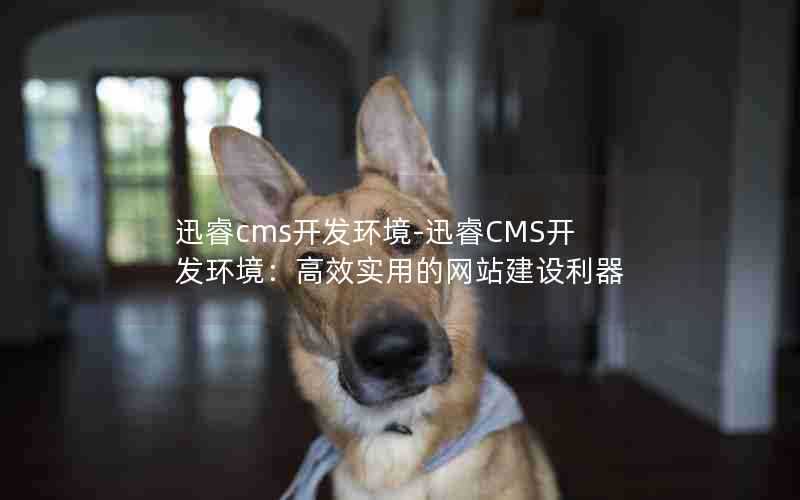 迅睿cms开发环境-迅睿CMS开发环境：高效实用的网站建设利器