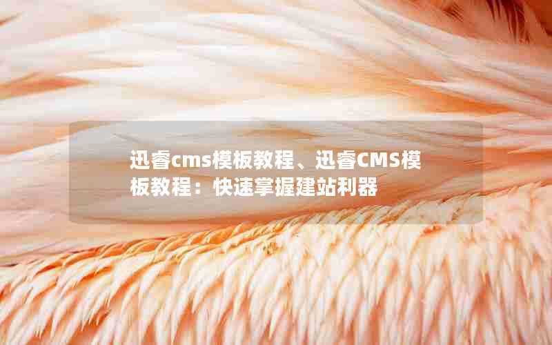 迅睿cms模板教程、迅睿CMS模板教程：快速掌握建站利器