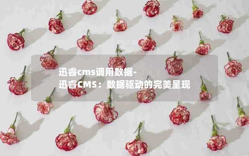 迅睿cms调用数据-迅睿CMS：数据驱动的完美呈现