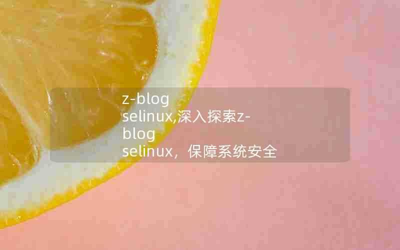 z-blogselinux,深入探索z-blogselinux，保障系统安全