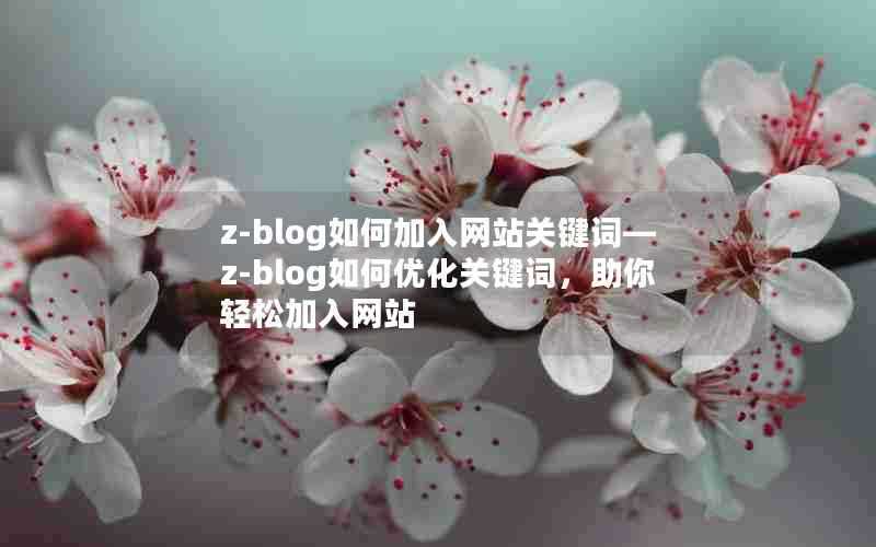 z-blog如何加入网站关键词—z-blog如何优化关键词，助你轻松加入网站