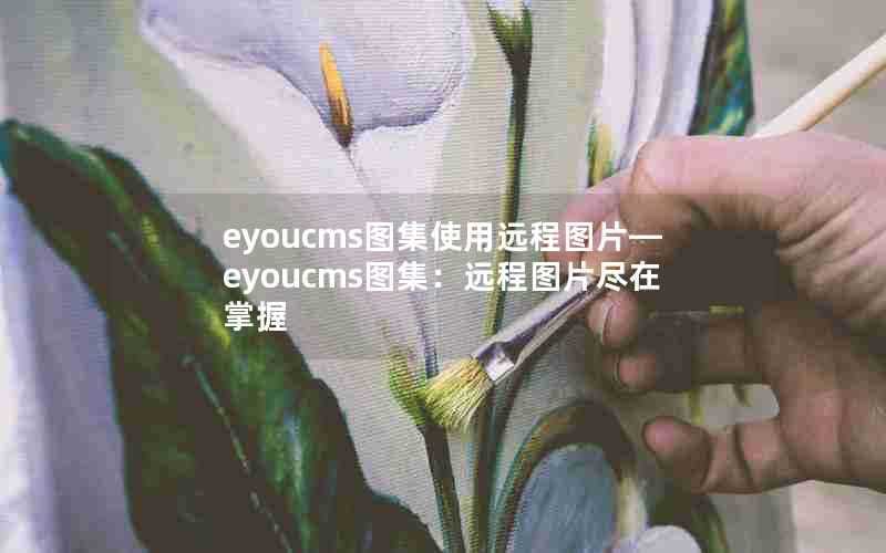 eyoucms图集使用远程图片—eyoucms图集：远程图片尽在掌握