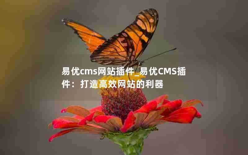 易优cms网站插件_易优CMS插件：打造高效网站的利器