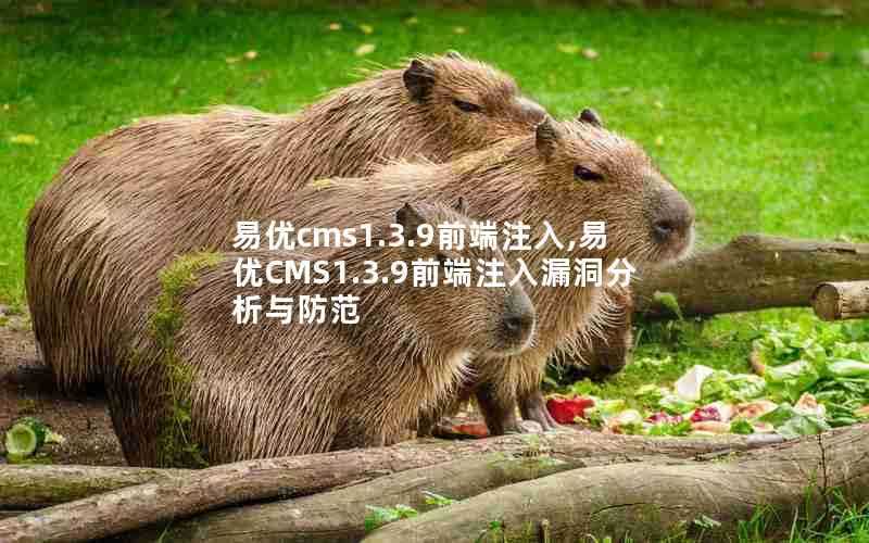 易优cms1.3.9前端注入,易优CMS1.3.9前端注入漏洞分析与防范