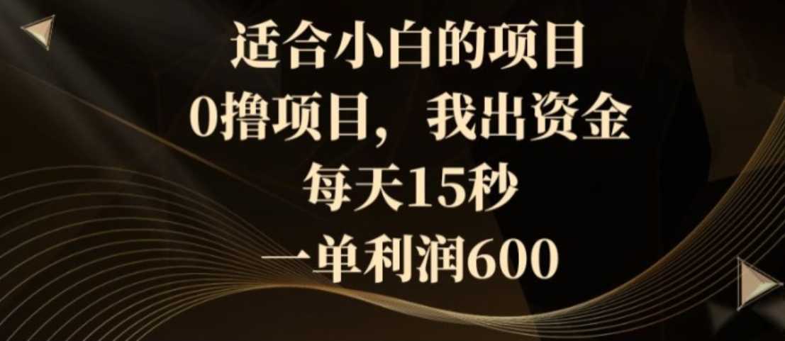 适合小白的项目，0撸项目，我出资金，每天15秒，一单利润600