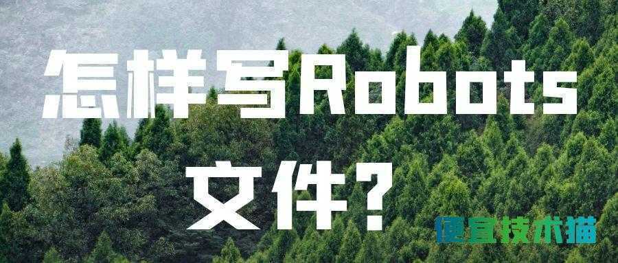 怎样写Robots文件？