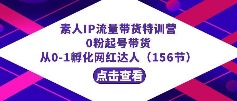 繁星·计划素人IP流量带货特训营：0粉起号带货 从0-1孵化网红达人