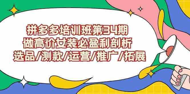 拼多多培训班第34期：做高价女装必盈利剖析  选品/测款/运营/推广/拓展