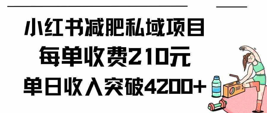 小红书减肥私域项目每单收费210元单日成交20单，最高日入4200+