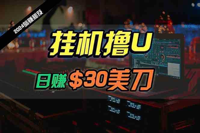 日赚30美刀，2024最新海外挂机撸U内部项目，全程无人值守，可批量放大