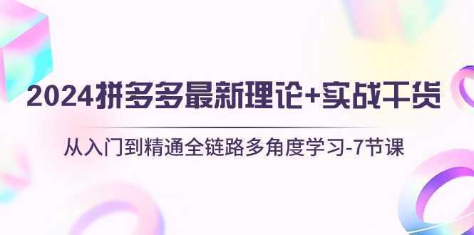 2024拼多多 最新理论+实战干货，从入门到精通全链路多角度学习-7节课