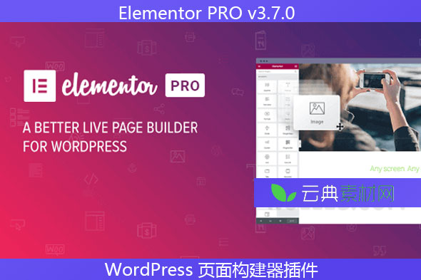 Elementor PRO v3.7.0 – WordPress 页面构建器插件