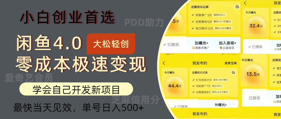 闲鱼0成本极速变现项目，多种变现方式 单号日入500+最新玩法