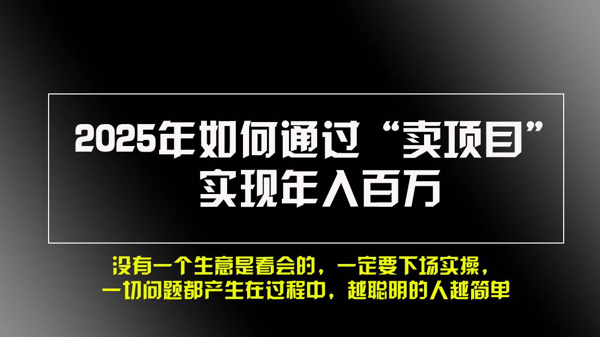 2025年如何通过“卖项目”实现年入百万，做网赚必看！！