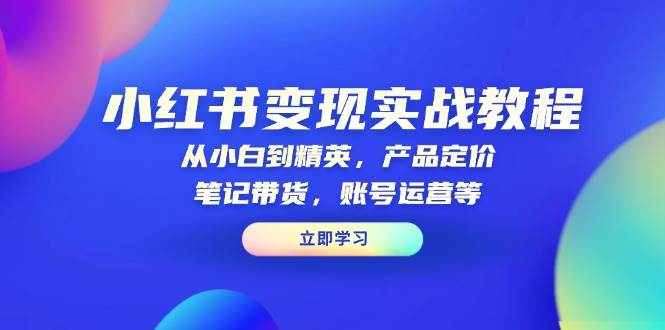 小红书变现实战教程：从小白到精英，产品定价，笔记带货，账号运营等