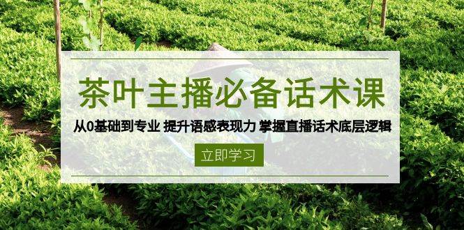 茶叶 主播必备话术课 从0基础到专业 提升语感表现力 掌握直播话术底层逻辑